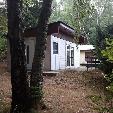 Bungalowdorf Klein Budelsdorf Altenberg  Kültér fotó